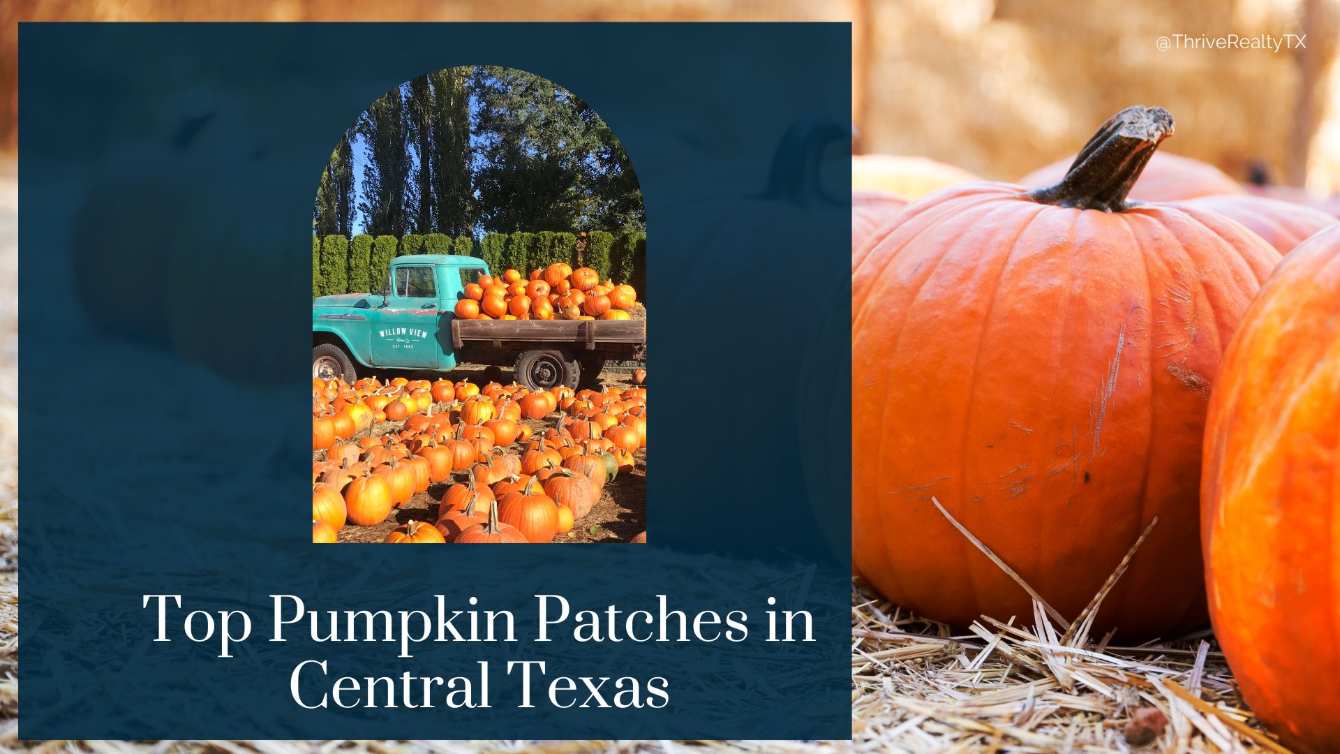 Top Pumpkin Patches Central Texas