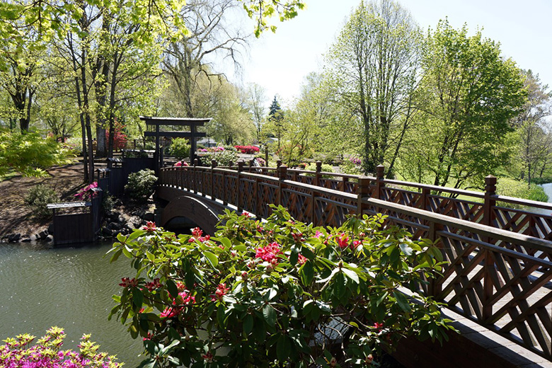 The bridge to the Japanese Garden Longview