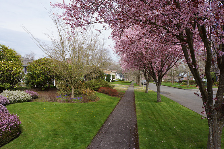 Old West Side Neighborhood Longview, WA