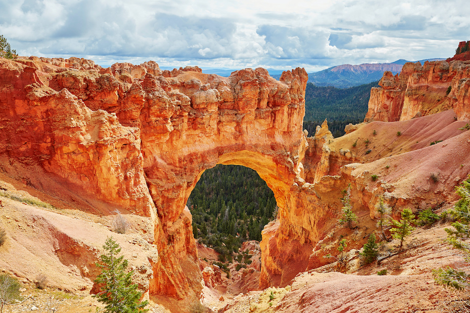 The Top 3 Visitor Tours in Cedar City, UT