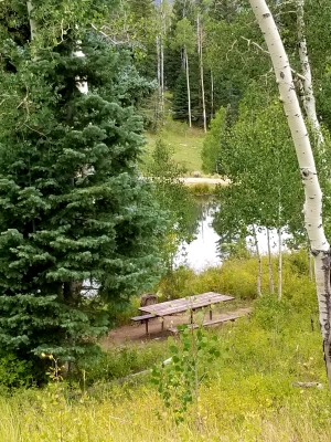 Small Parma pond a perfect spot for kid's fishing 