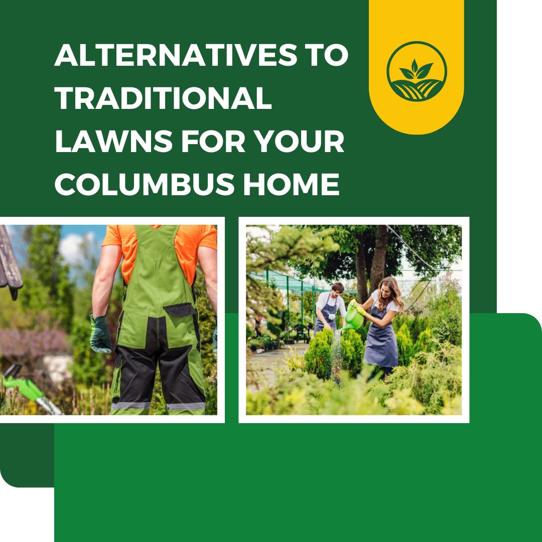 Alternatives to Traditional Lawns for Your Columbus Home