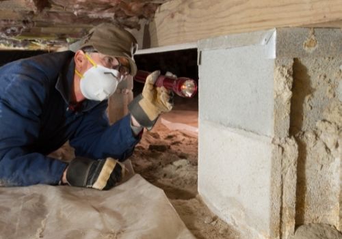 What's in Your Columbus Home's Crawl Space?