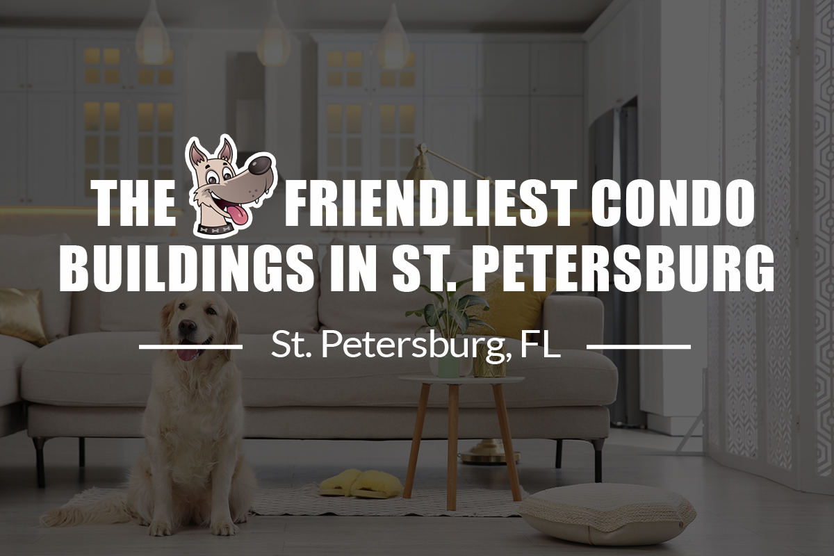 Dog-Friendly Condo Buildings St. Petersburg FL