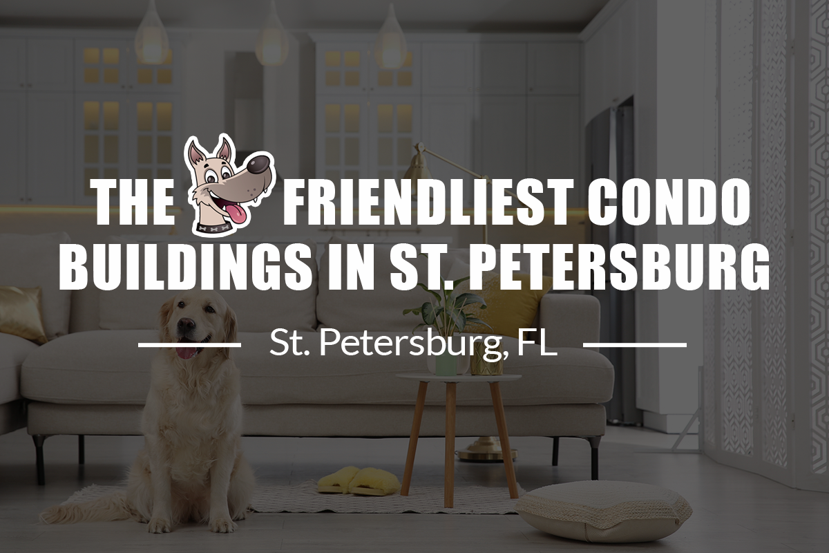 The Best Dog-Friendly Condo Buildings in St. Petersburg, FL