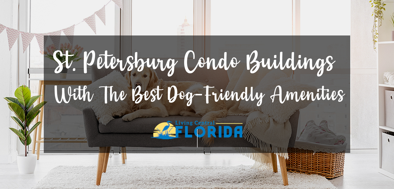 St. Petersburg Condo Buildings With The Best Dog-Friendly Amenities