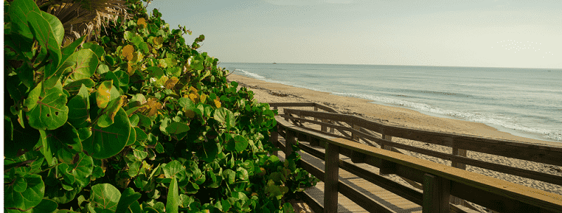 photo of a florida beach