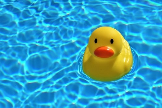 pool-homes-with-rubber-duck