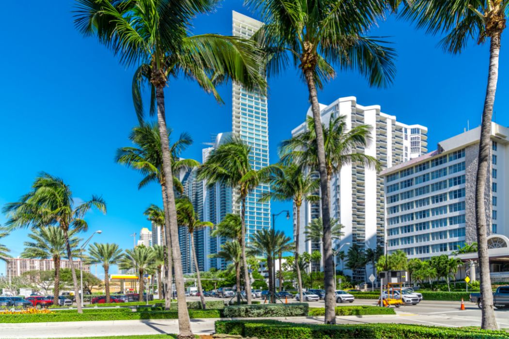 image of a place in Florida with streets and palm trees