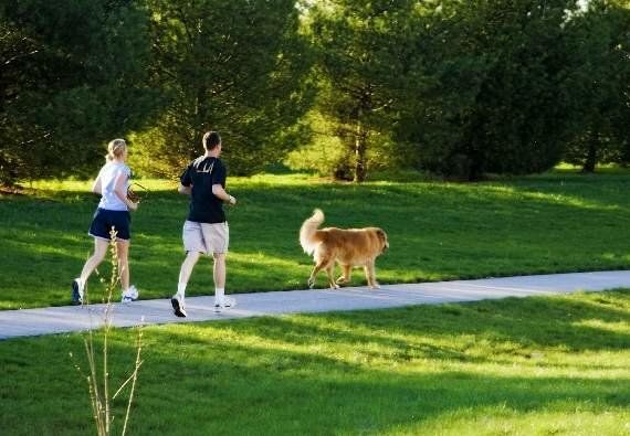 Keller, TX Hidden Lakes Addition Trails and green space