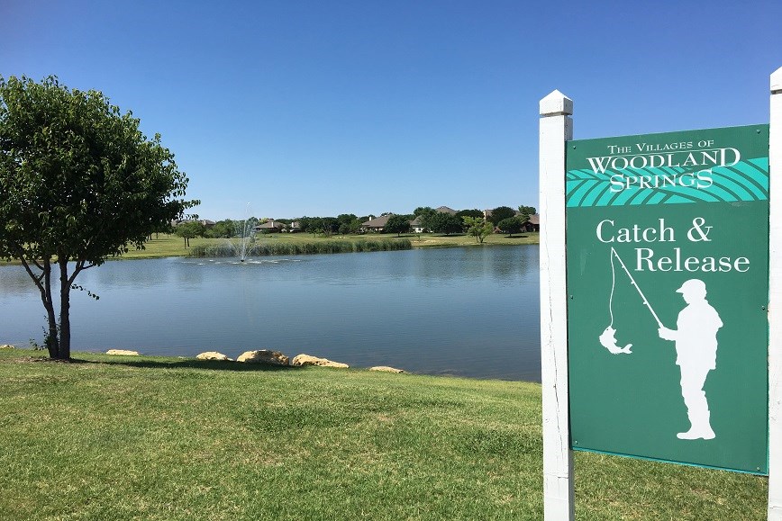 Fishing in Pond in Villages of Woodland Springs Neighborhood