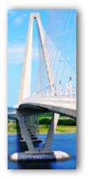 Arthur Ravenel Bridge in Charleston SC