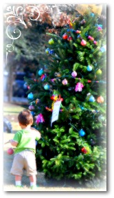 Charleston Christmas Tree