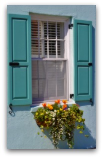 Charleston SC Window Box with Flowers