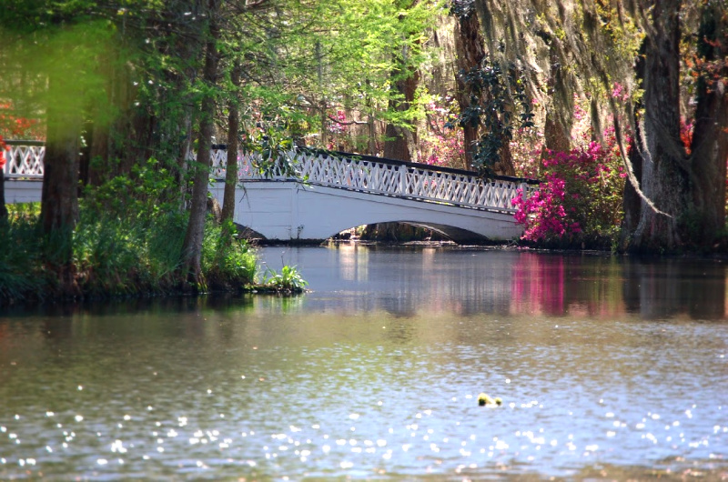 Magnolia Plantation Bridge