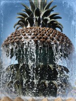 Pineapple Fountain in Charleston SC