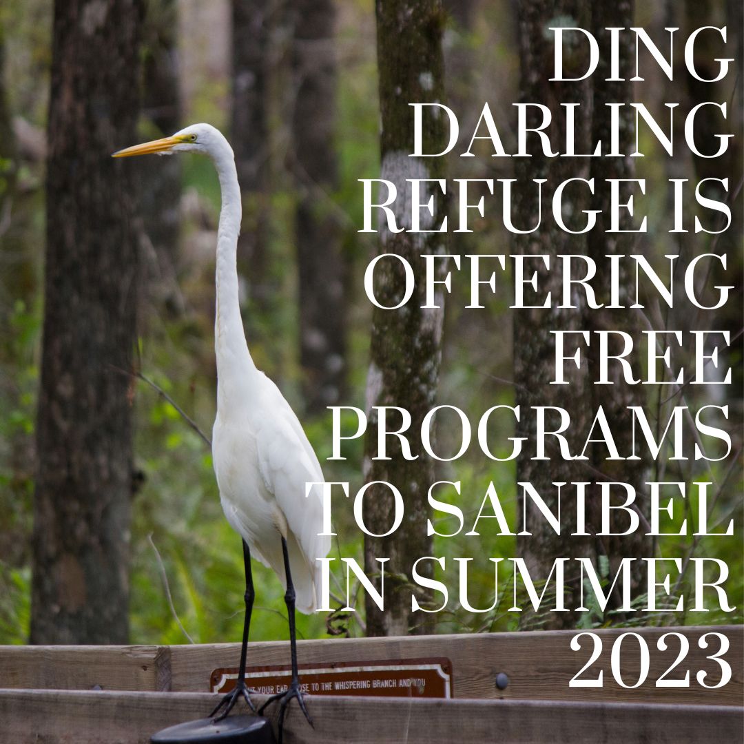 Ding Darling Refuge is Offering Free Programs to Sanibel in Summer 2023