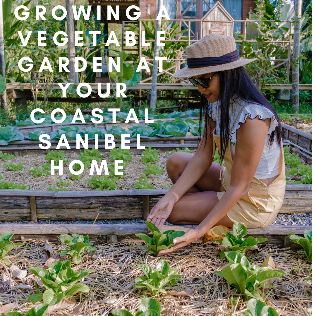 Growing a Vegetable Garden at Your Coastal Sanibel Home