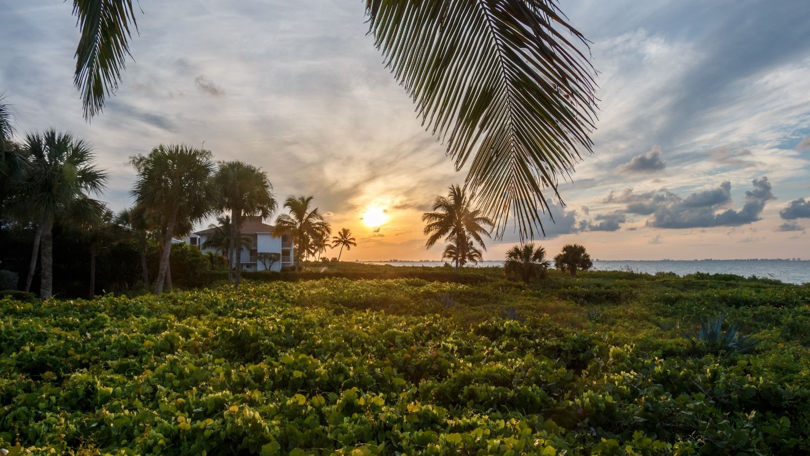 Schedule a Trip to Sanibel and Captiva islands