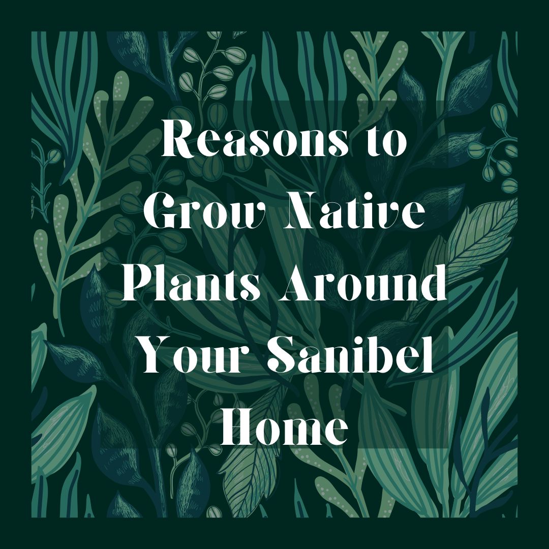 Reasons to Grow Native Plants Around Your Sanibel Home