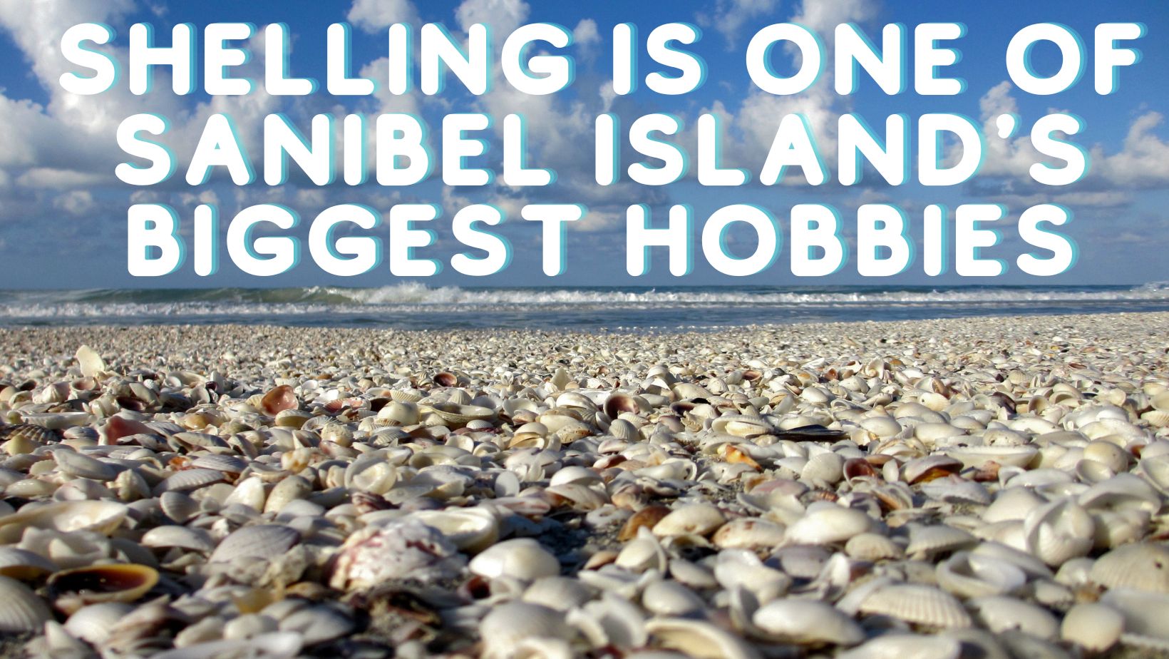 Shelling is one of Sanabel island's Biggest Hobbies