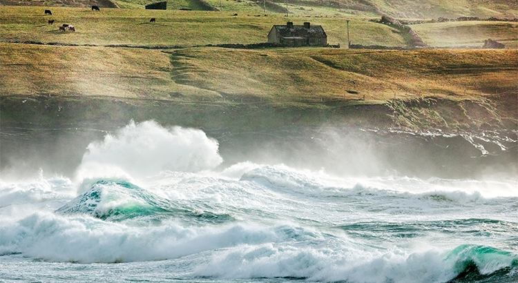 house on a cliff with ocean waves, pasture with cows