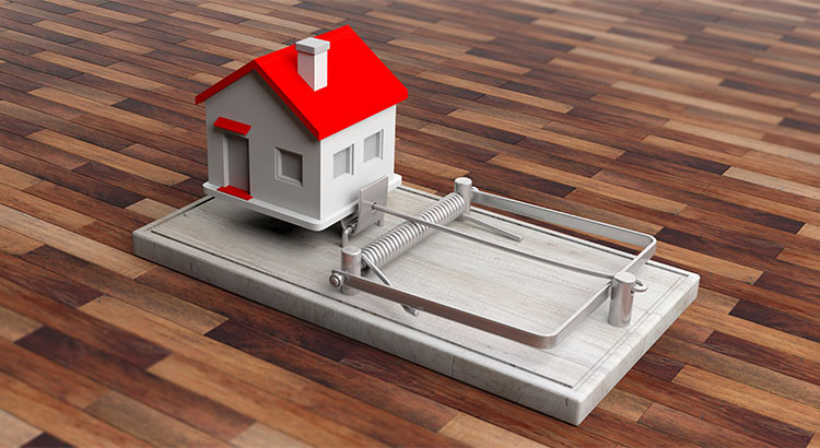 mouse trap set with home model as bait on a wood plank floor