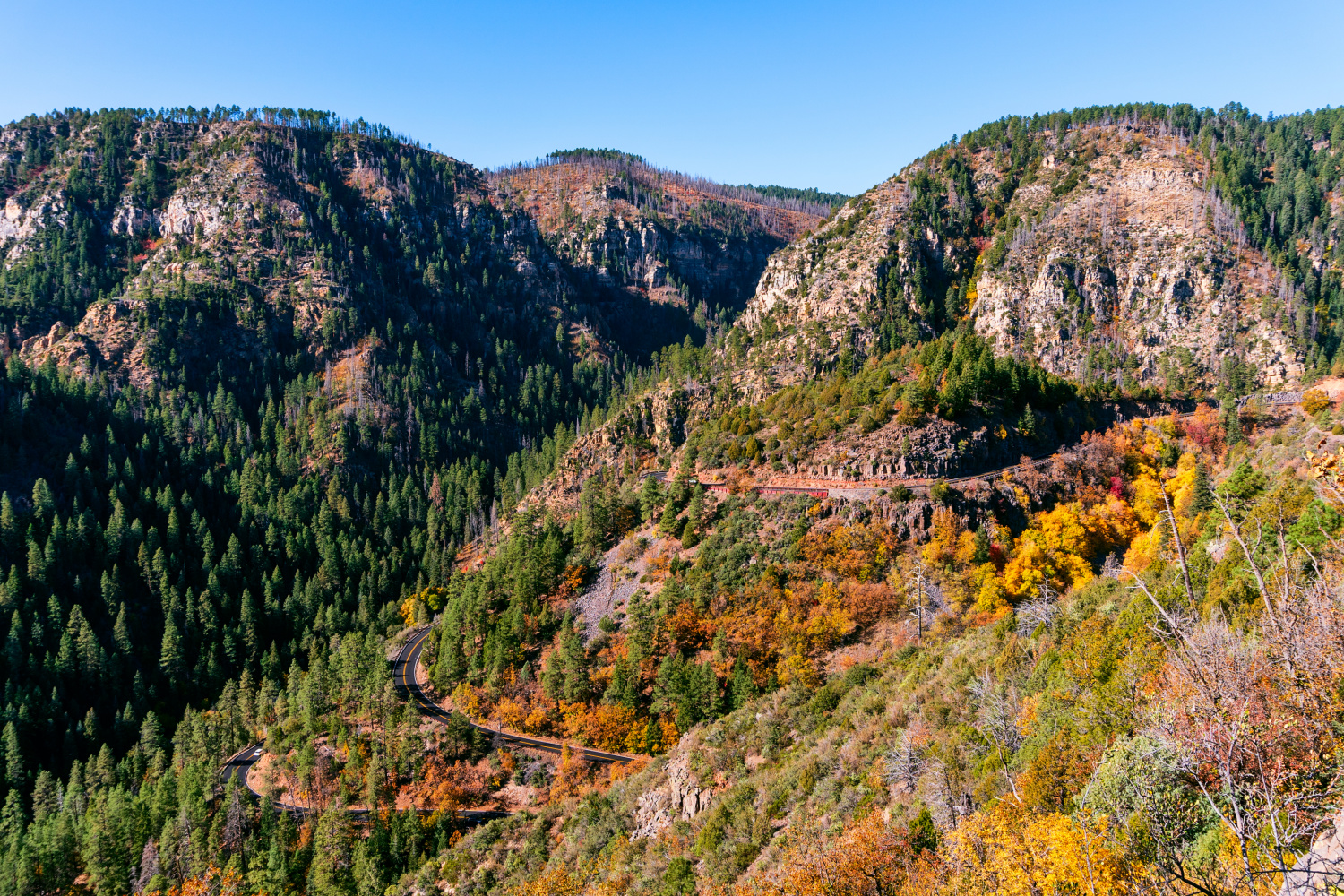Autumn in Oak Creek Canyon Arizona