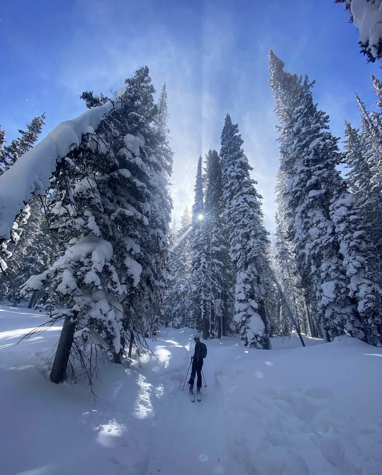 Natalie Teer Skinning Walton Peak