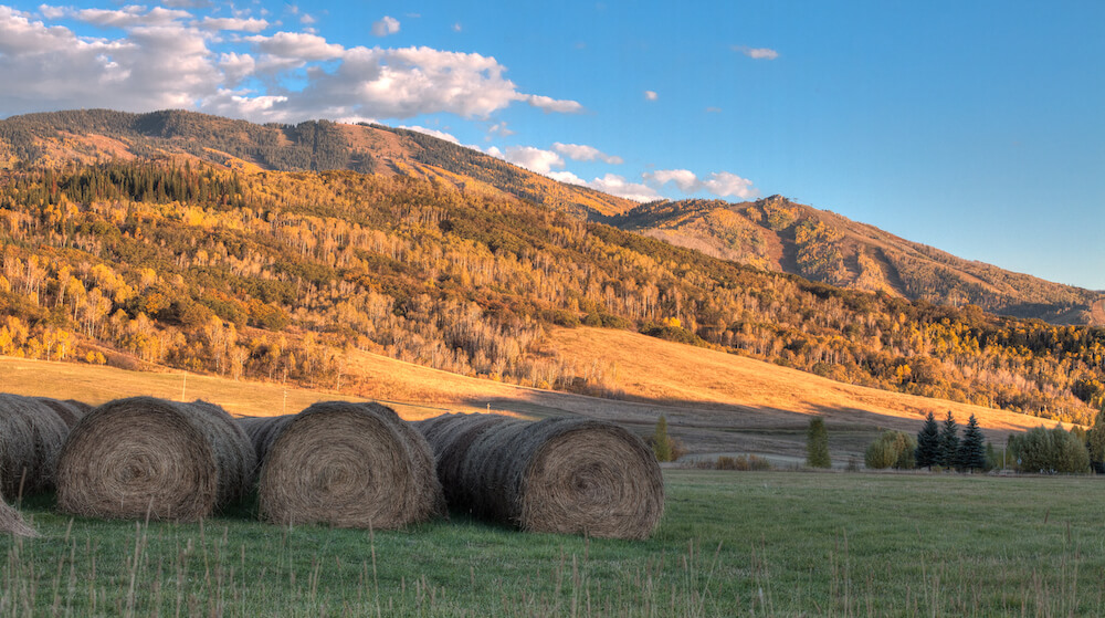 4 Best Spots in Steamboat Springs to See Fall Colors [New for 2022]