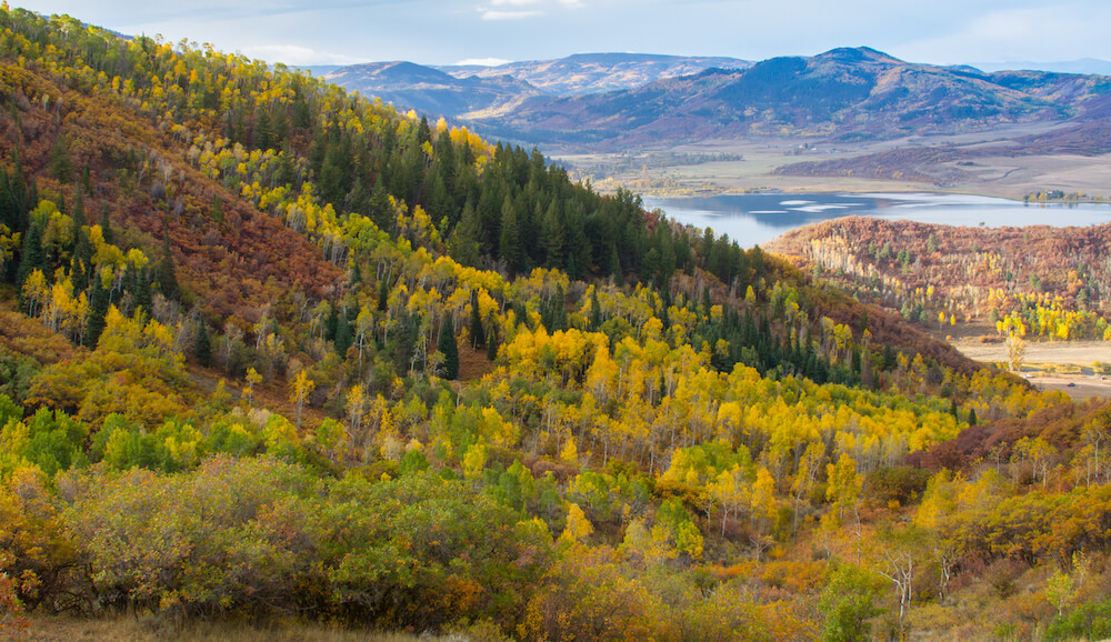 4 Best Spots in Steamboat Springs to See Fall Colors [New for 2022]