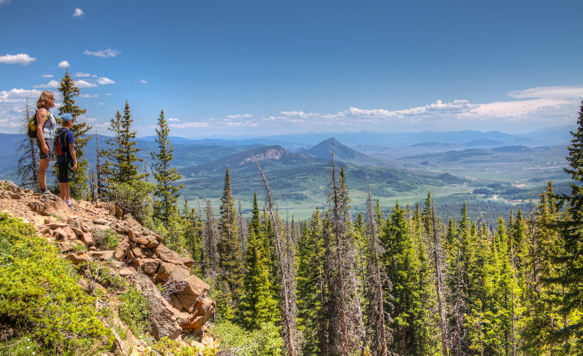 Steamboat Springs 5 Best Wildflower Hikes