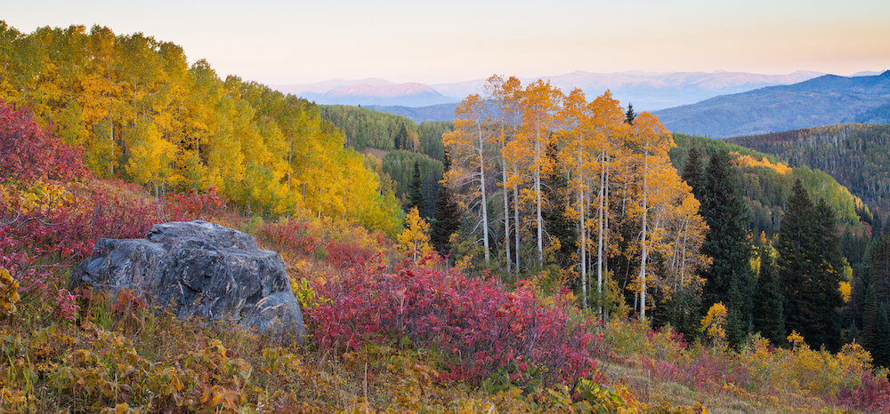 colorado fall colors 2022