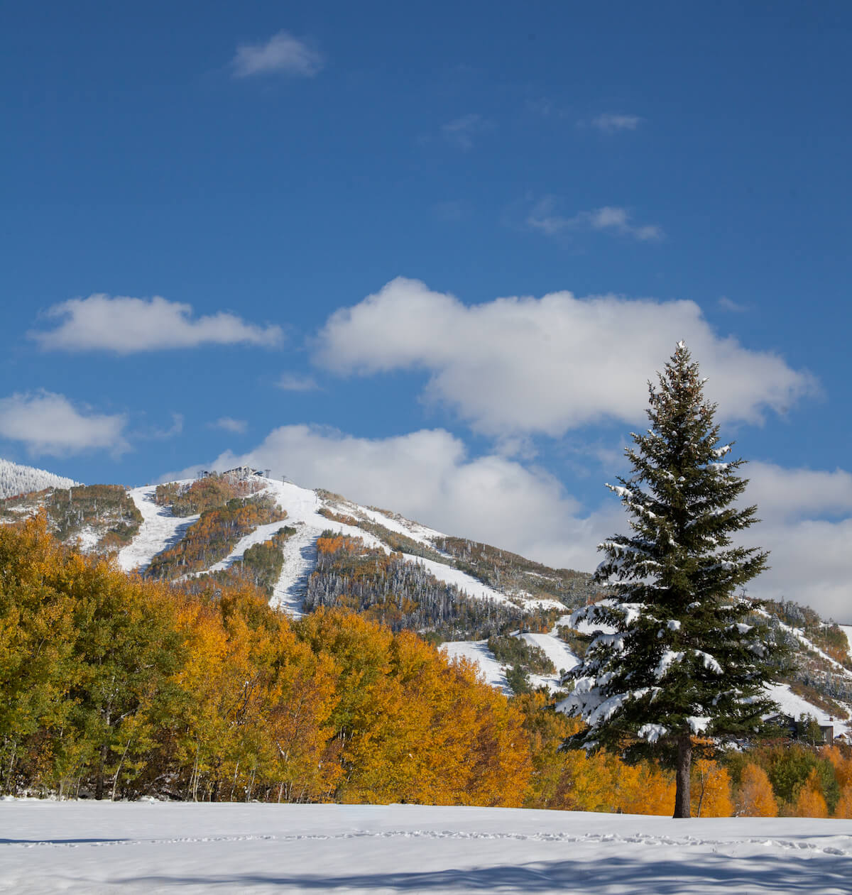 November Events in Steamboat Springs