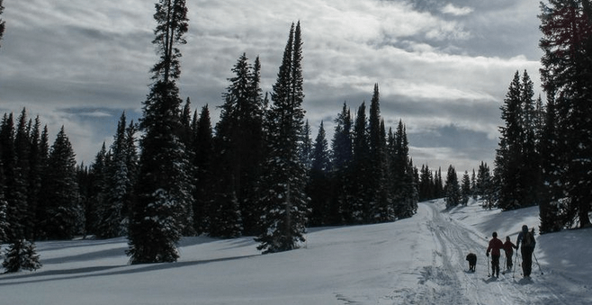 Snow skiing in Steamboat Springs Colorado