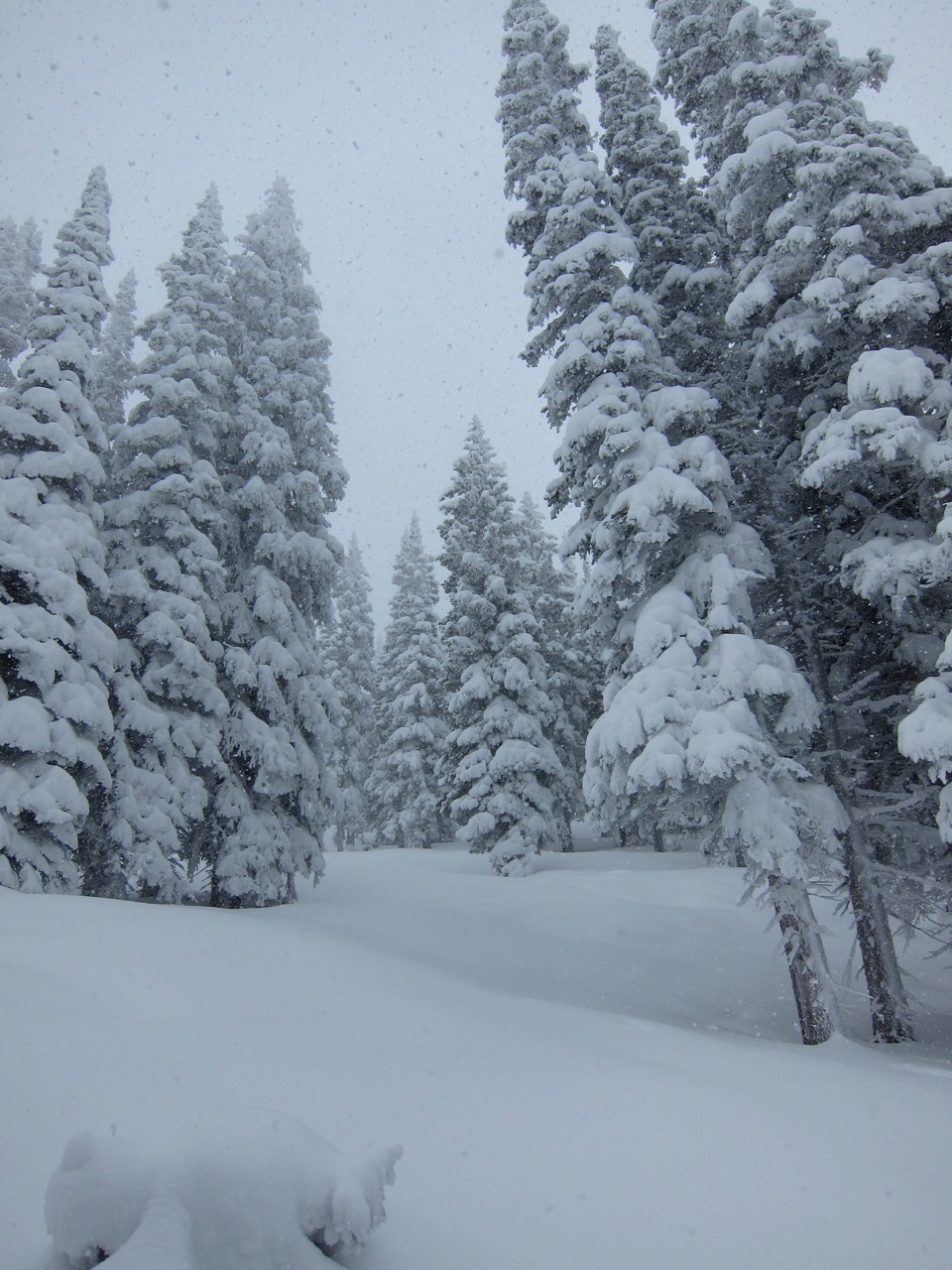 snow1_1280. snow1_1280.