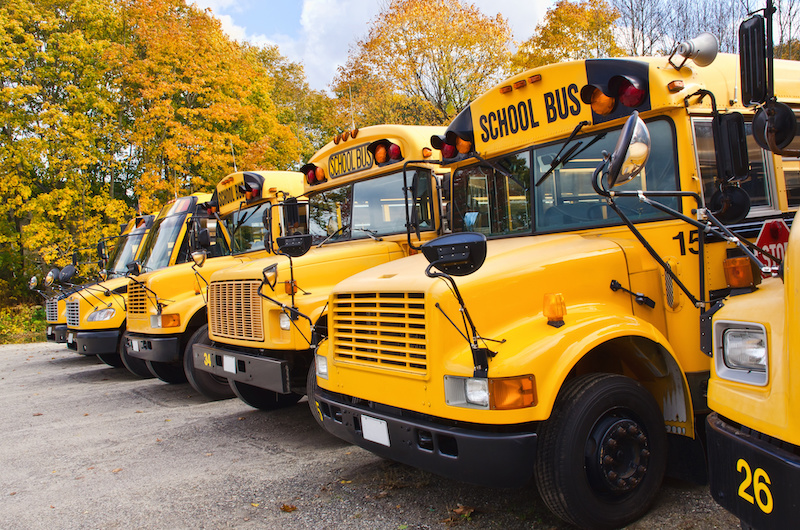 Public Schools and School Districts in Steamboat Springs, CO