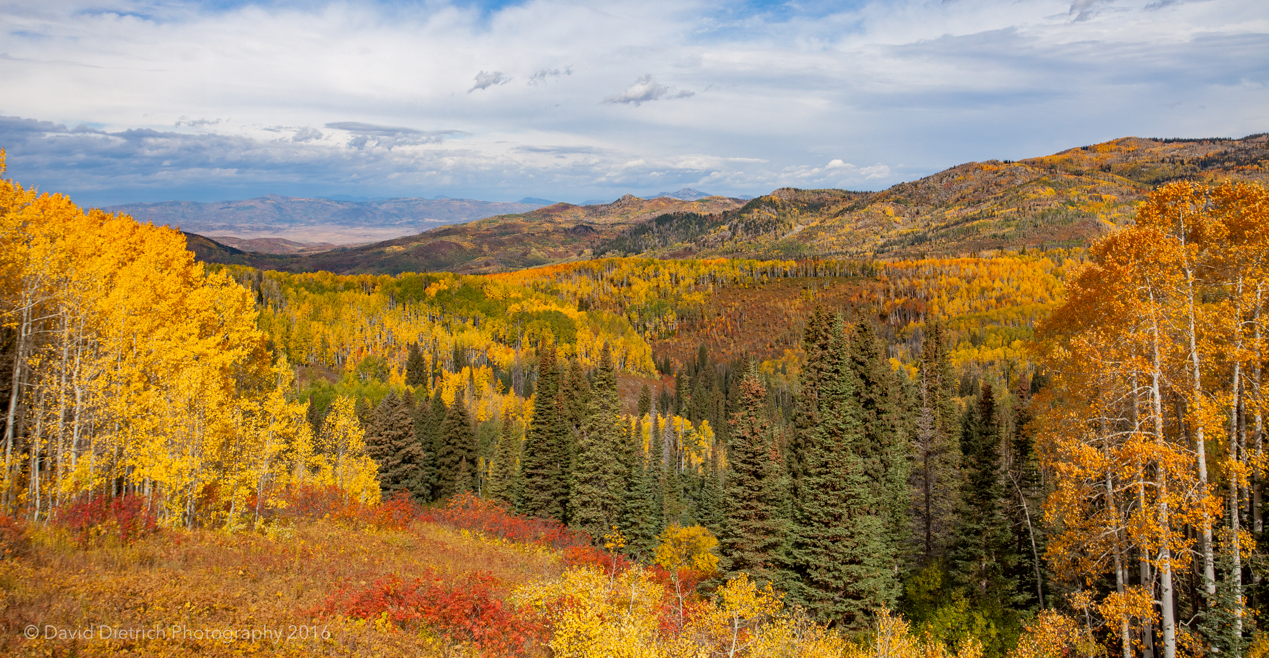 Beautiful Fall Colors in Steamboat Springs