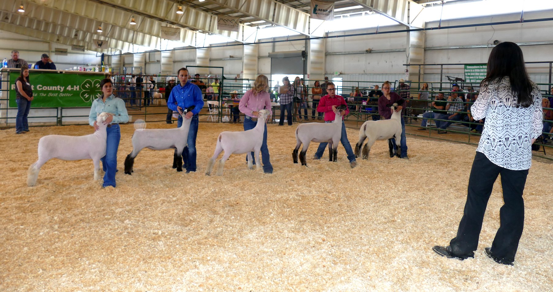 Head over to the Routt County Fair!