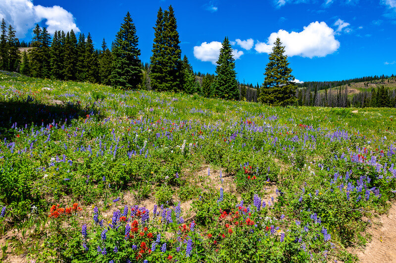 Best Places to Live in Yampa Valley, CO