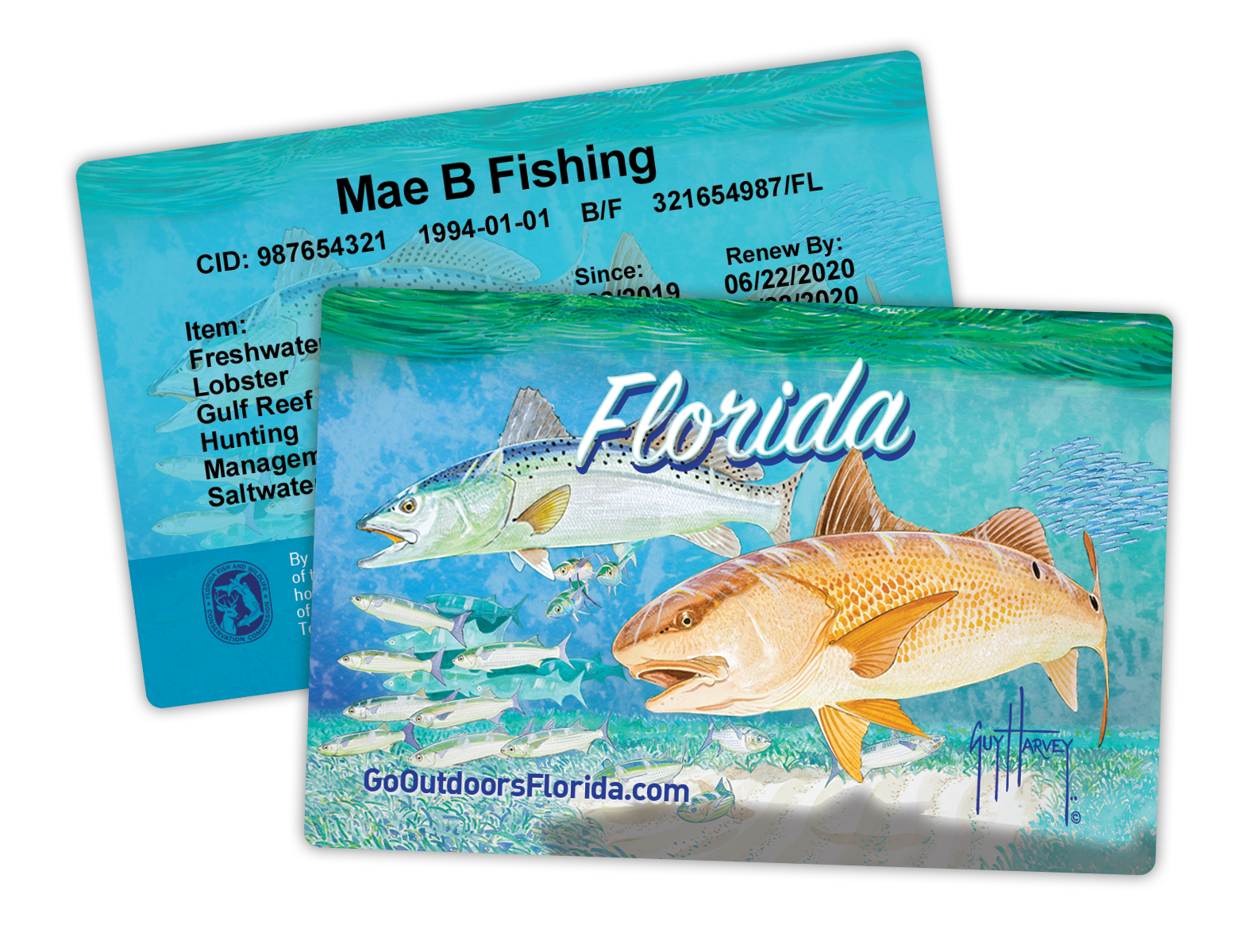 All About Fishing Licenses in SWFL