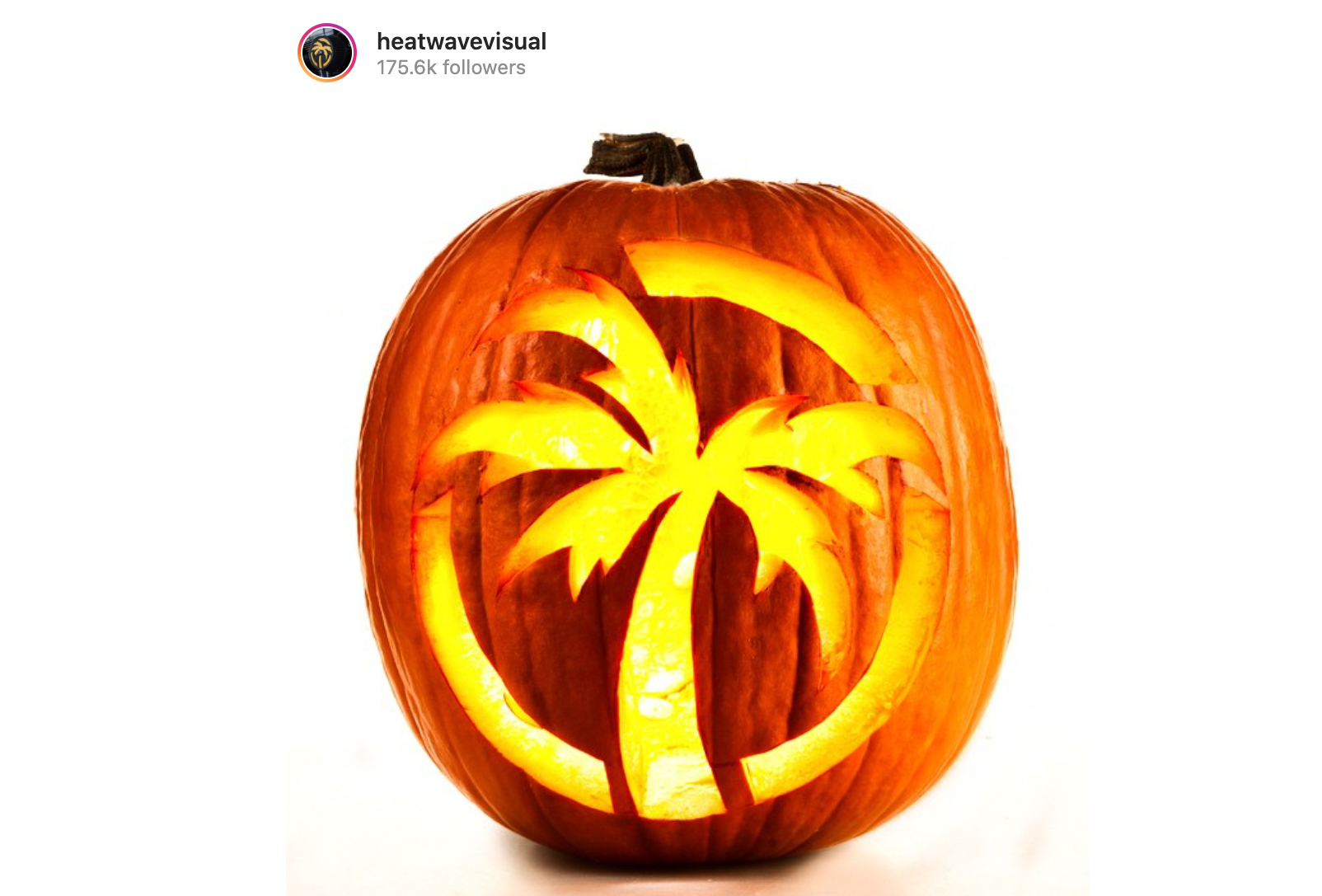 tree pumpkin designs