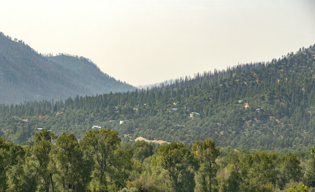 Trees and Mountains in Hermosa Acres, Animas Valley