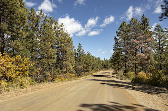Homestead Ranches Neighborhood Unpaved Road in Bayfield Colorado