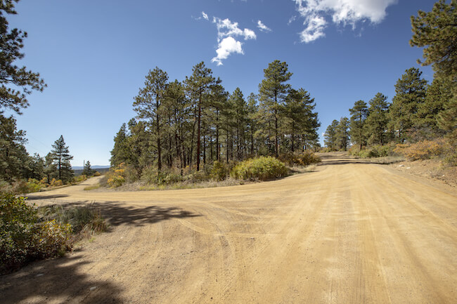 Homestead Ranches Neighborhood Unpaved Roads in Bayfield Colorado