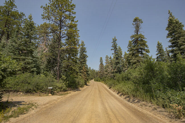 Durango Hills Neighborhood Street in Durango Colorado