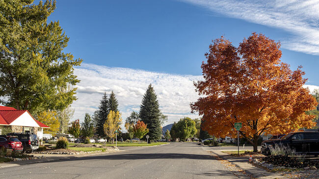 Crestview, Durango, Tree-Lined Streets in Crestview