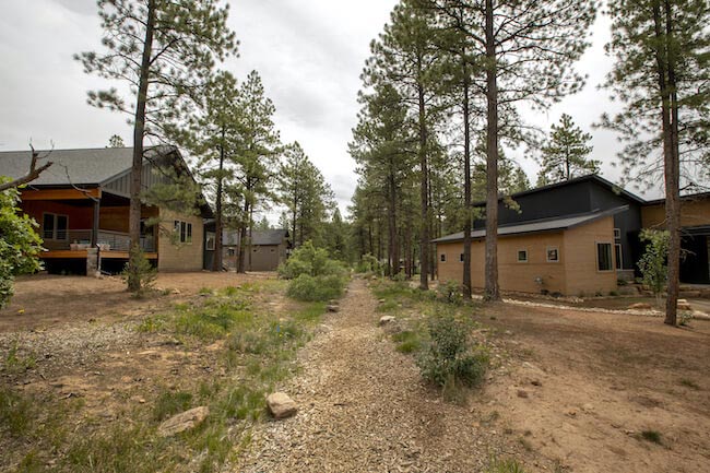 Edgemont Meadows Homes and Trees in Durango Colorado