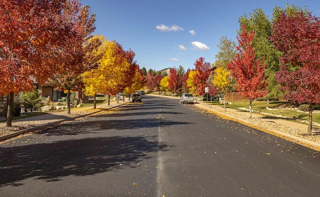 Tierra Vista Village, Durango, Tree-Lined Street in Fall