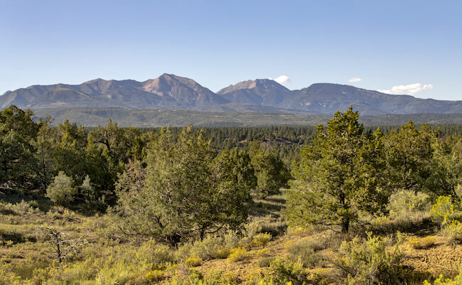 Trapper's Crossing Neighborhood Mountain Views in Durango Colorado